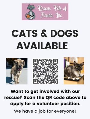 Rescue Pets of Florida is an organization that helps animals find new homes one step at a time. 